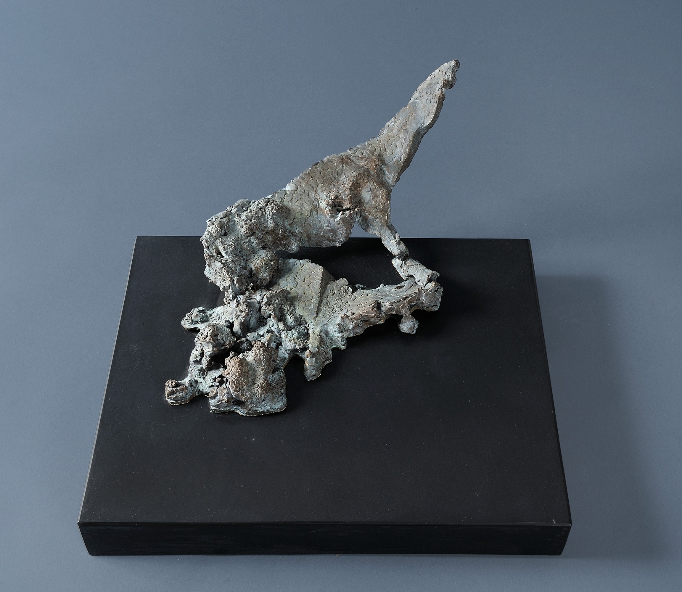 Koń VI z cyklu Cienie