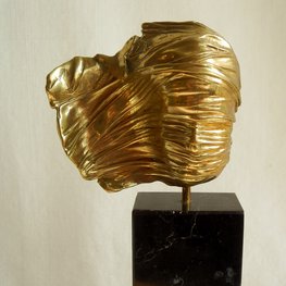 Twarz zawoalowana 90/250