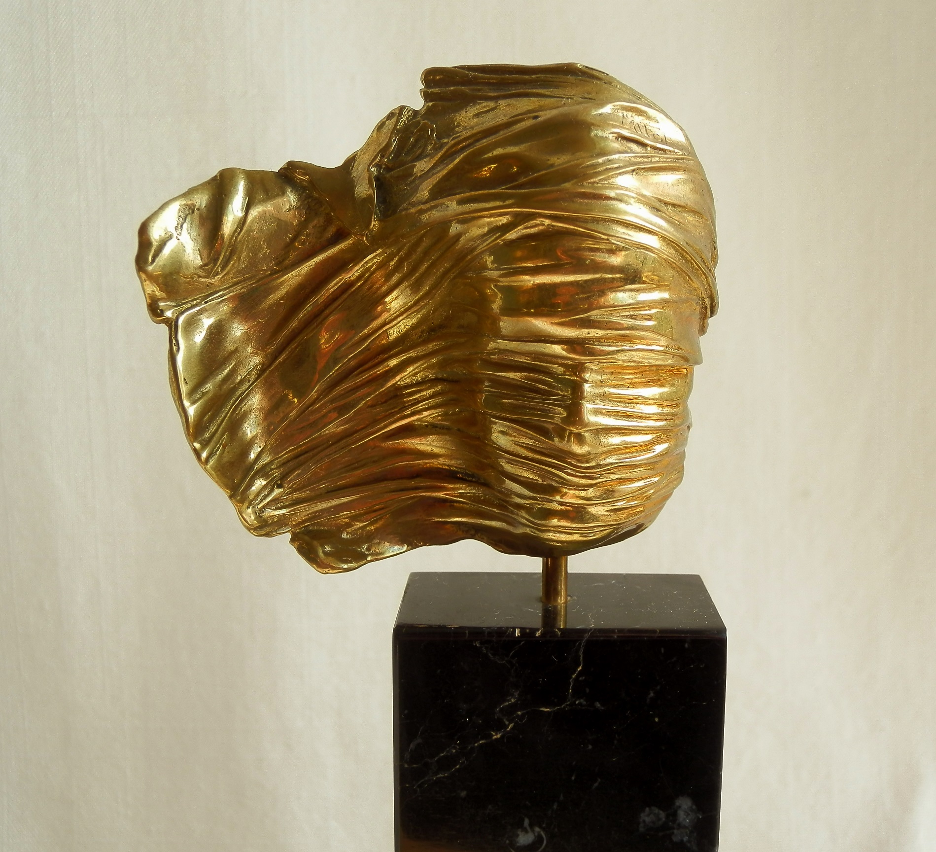 Twarz zawoalowana 90/250