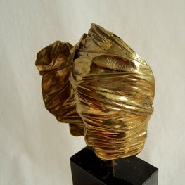 Twarz zawoalowana 90/250