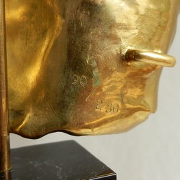 Twarz zawoalowana 90/250