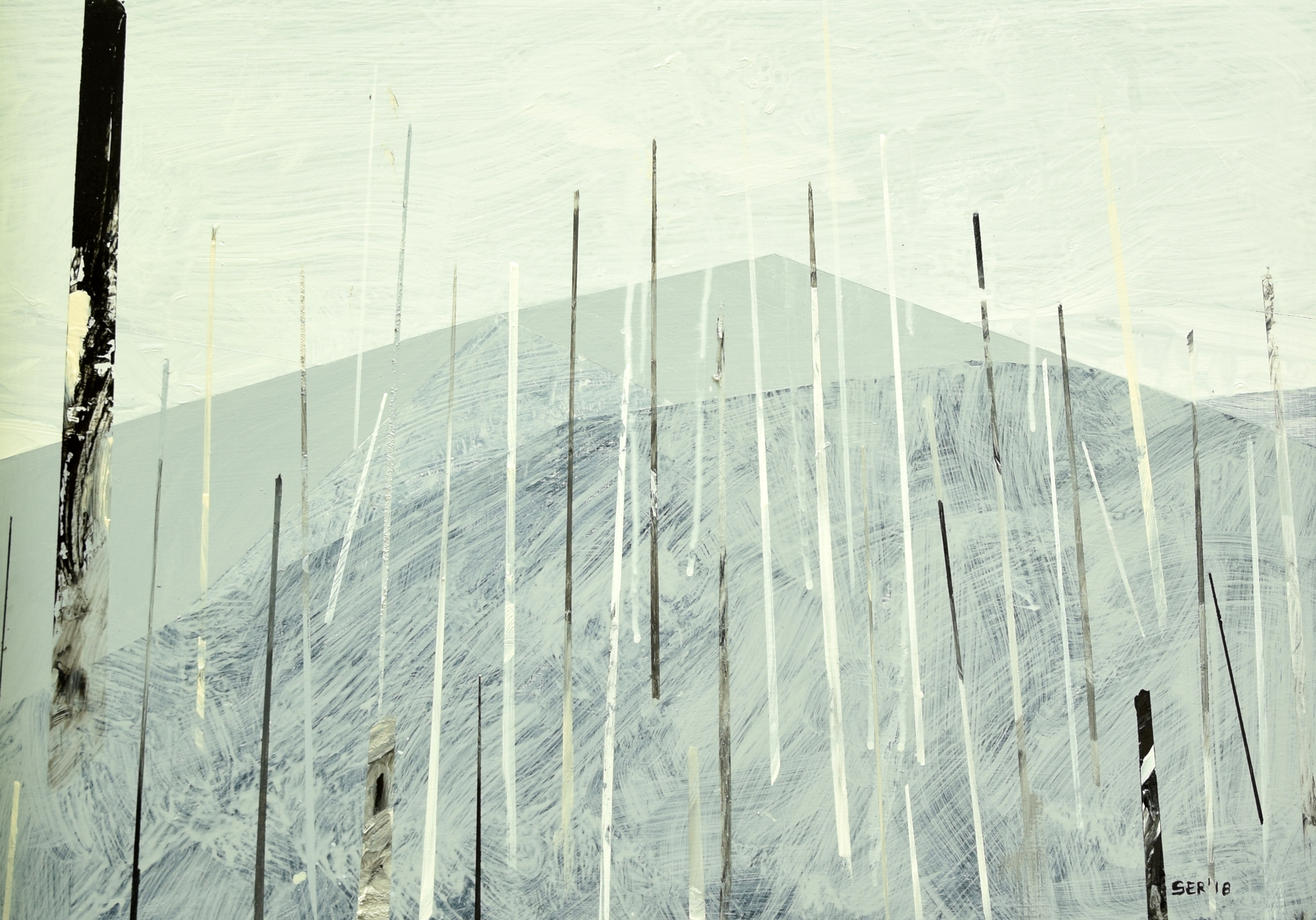 z serii Tatry Wysokie - Dolina Roztoki w szarościach