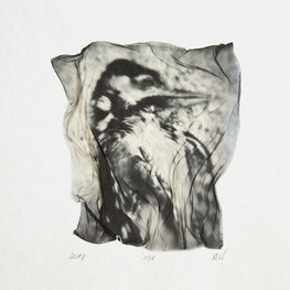 Collection of Little Beings 7