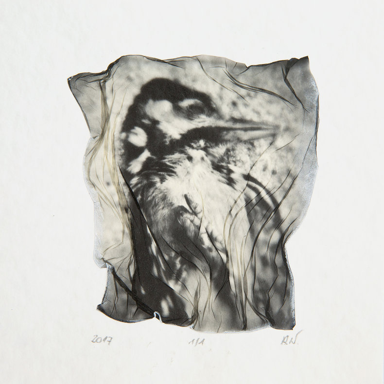 Collection of Little Beings 7