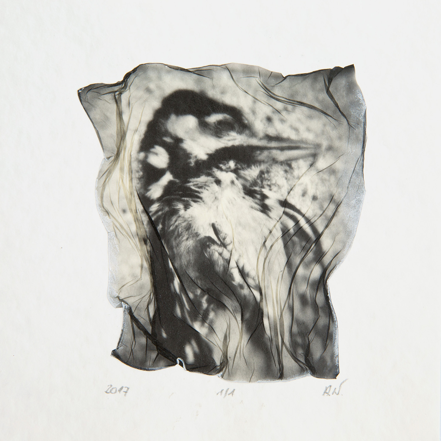 Collection of Little Beings 7