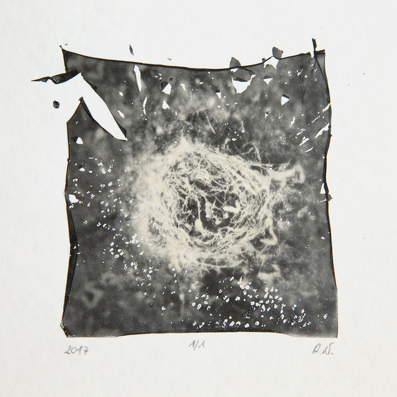 Collection of Little Beings 13