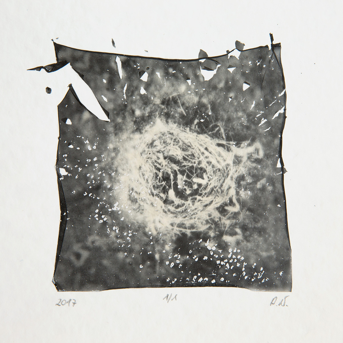 Collection of Little Beings 13