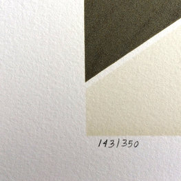 Iluzoryczna specyfika losowych komplementów - litografia