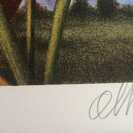 Nostalgia w zwolnionym tempie - litografia