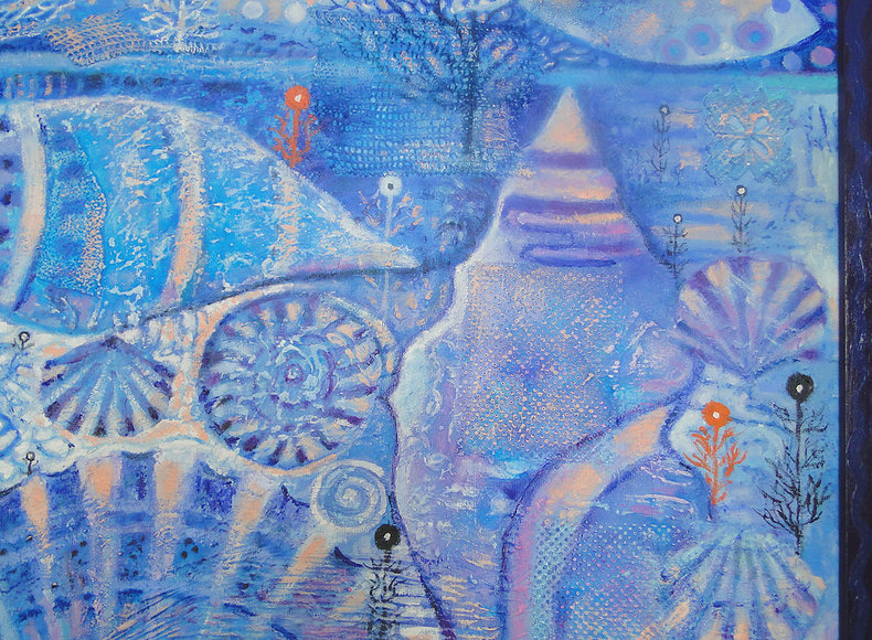 Muszle, rybki i koralowce