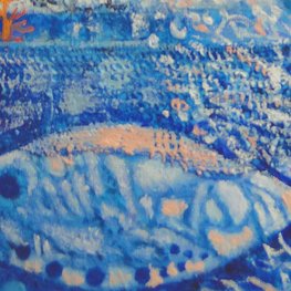 Muszle, rybki i koralowce