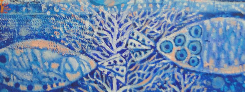 Muszle, rybki i koralowce