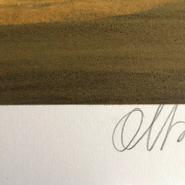 Przewidywalne założenie - litografia