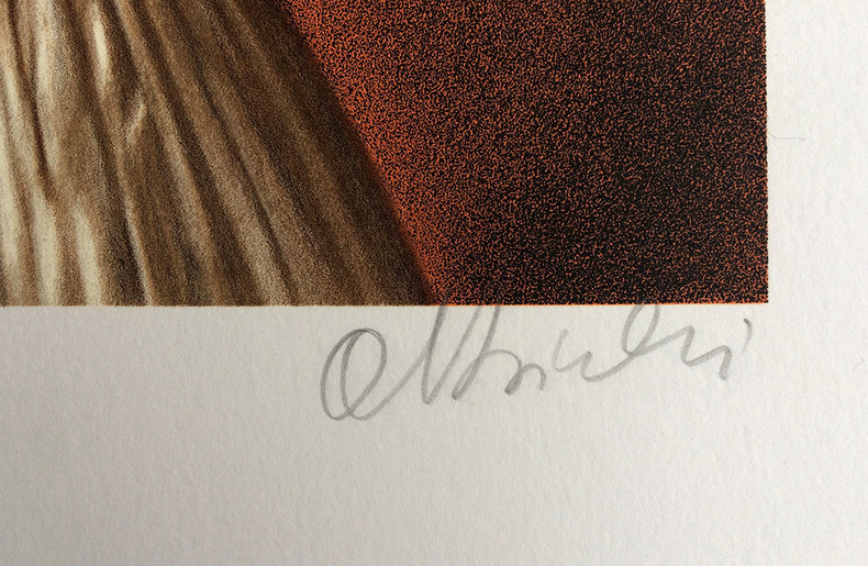 Łatwo dostępna tożsamość - litografia