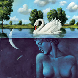 Noc kiedy spadła gwiazda / Night of the shooting star - Inkografia format M