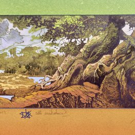 Na południowy wschód od Gandawy