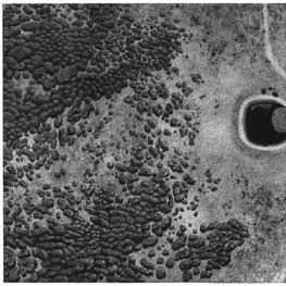 Droga na Południe V