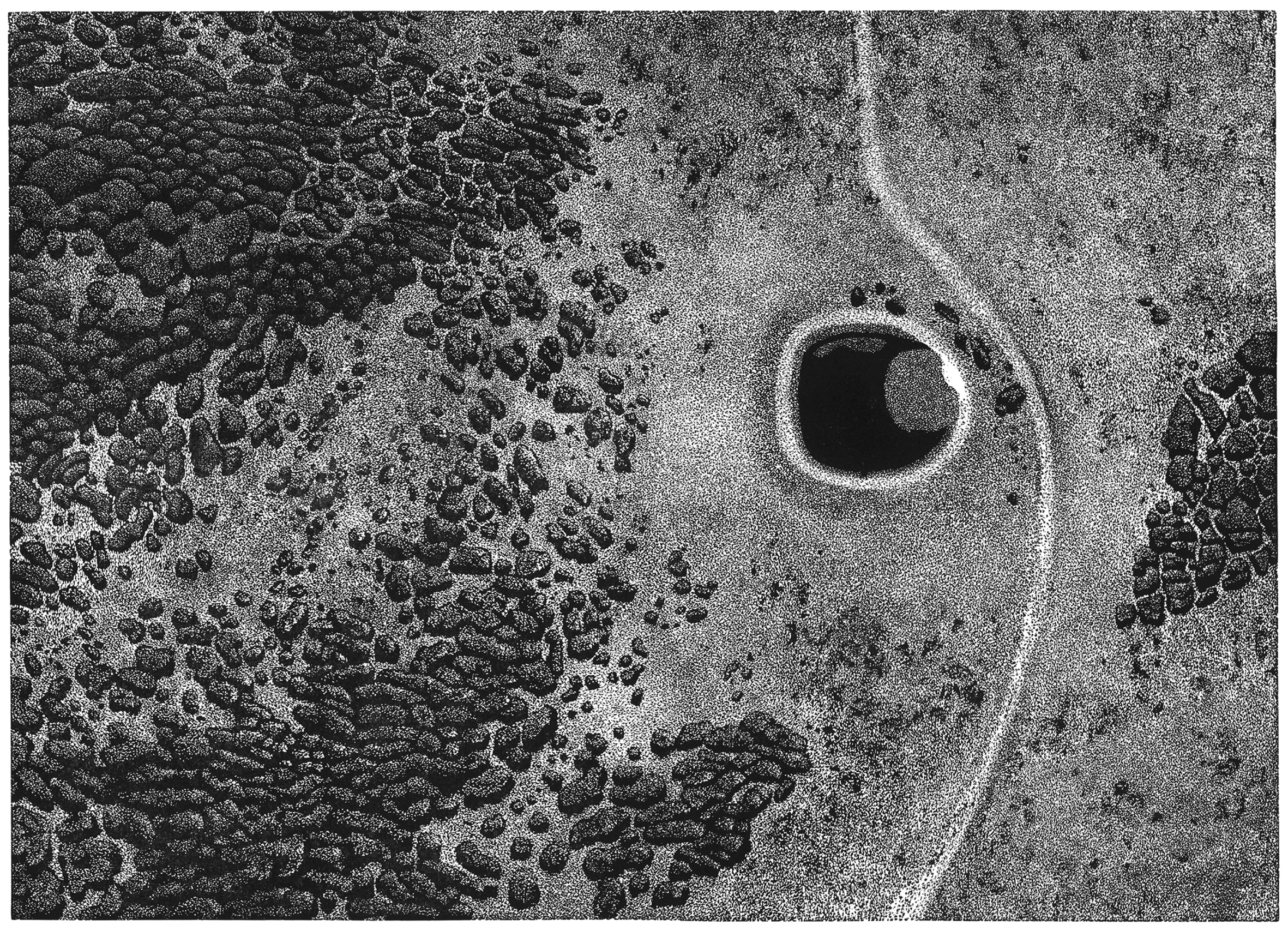 Droga na Południe V