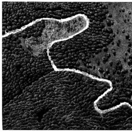 Droga na Południe. Ściernisko