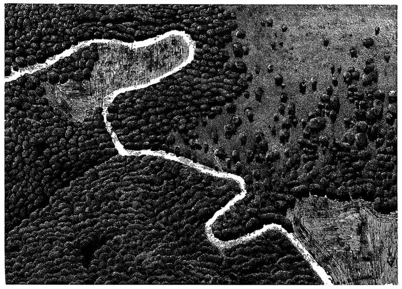 Droga na Południe. Ściernisko