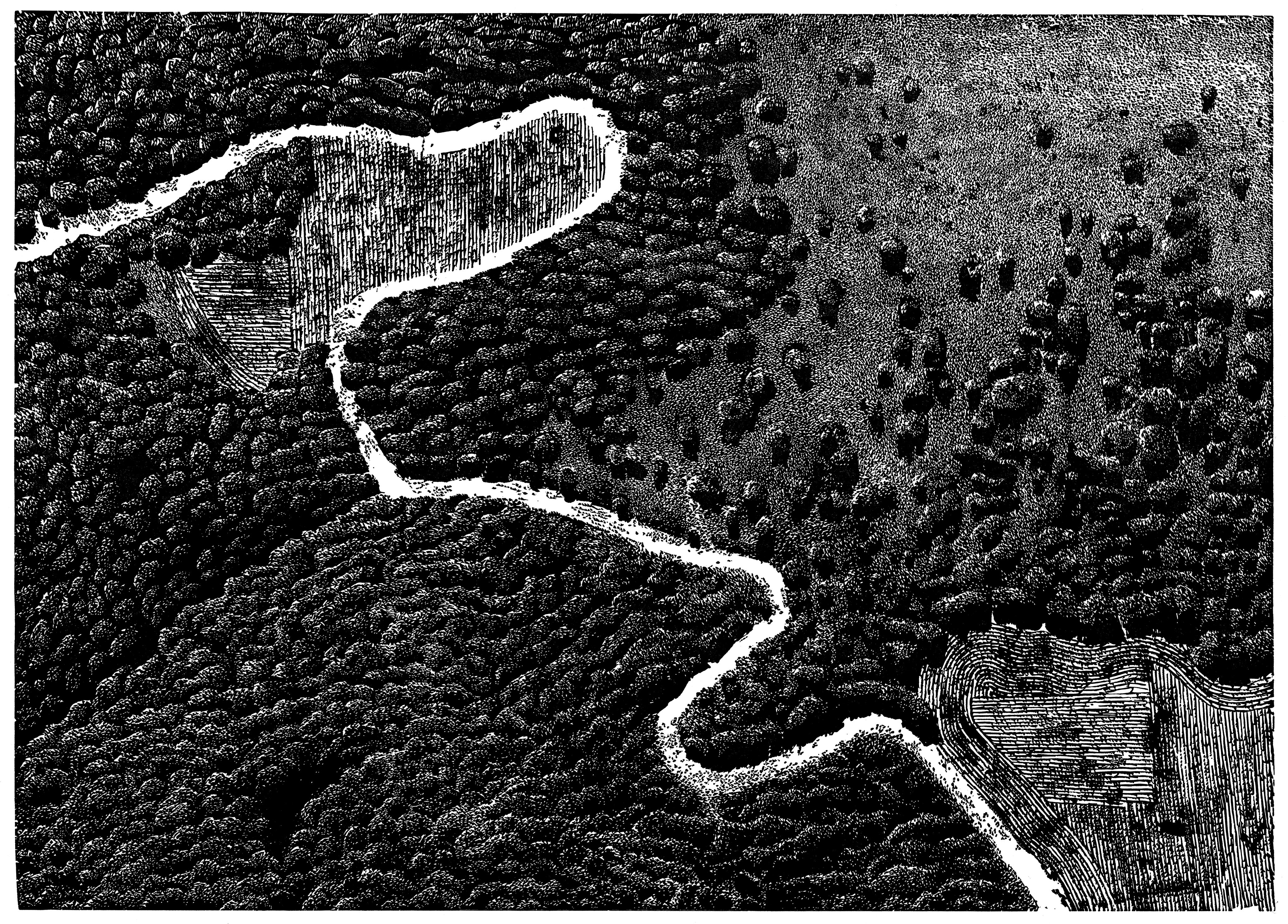 Droga na Południe. Ściernisko