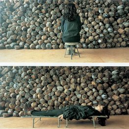 Marina Abramovic: The Cleaner