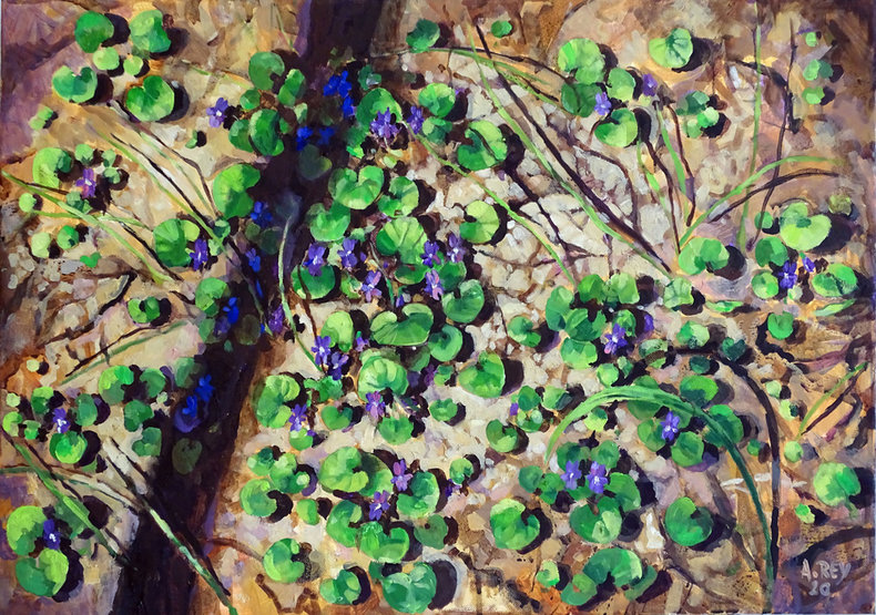 Fiołki Hanki 3 z cyklu Zielnik