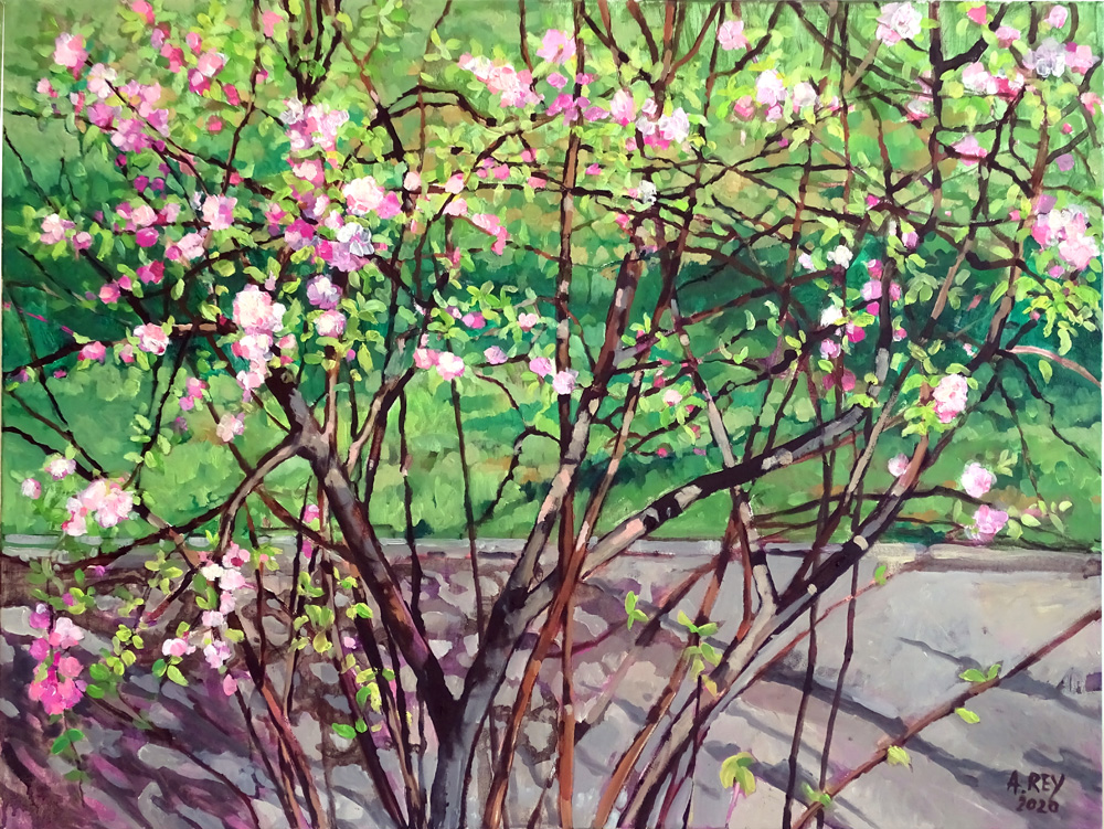 Migdałek 3 z cyklu Organika