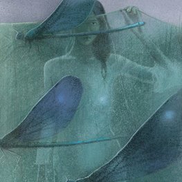 Four dragonflies / Cztery ważki