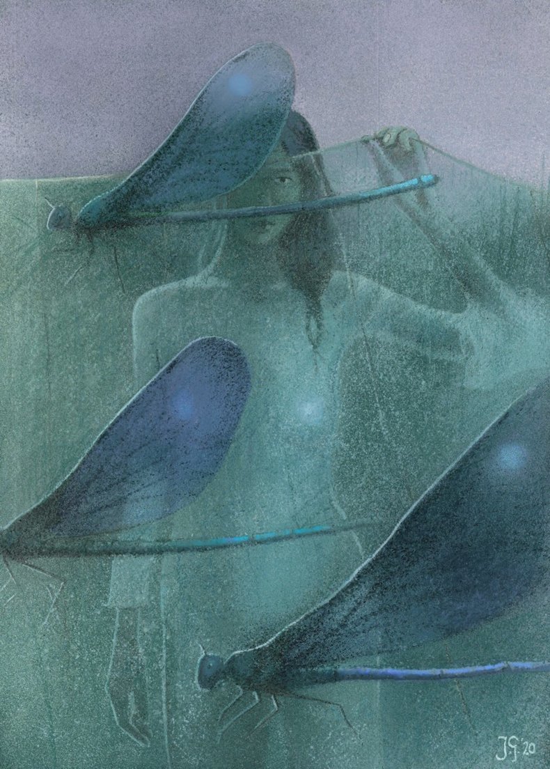 Four dragonflies / Cztery ważki