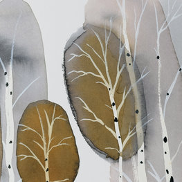 Brzozy optymistyczne