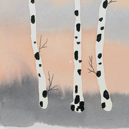 Brzozy optymistyczne