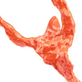 Tenaci Perfectus - Orange