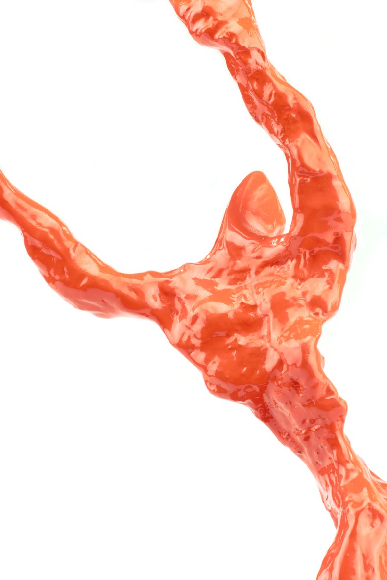 Tenaci Perfectus - Orange