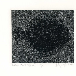 Różnorodność życia I