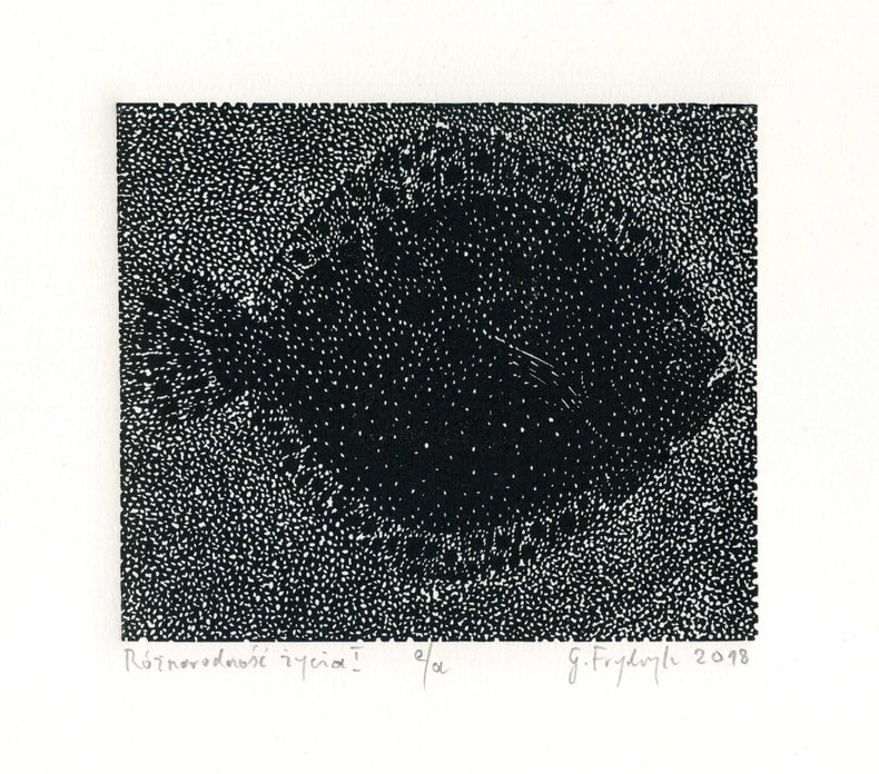 Różnorodność życia I