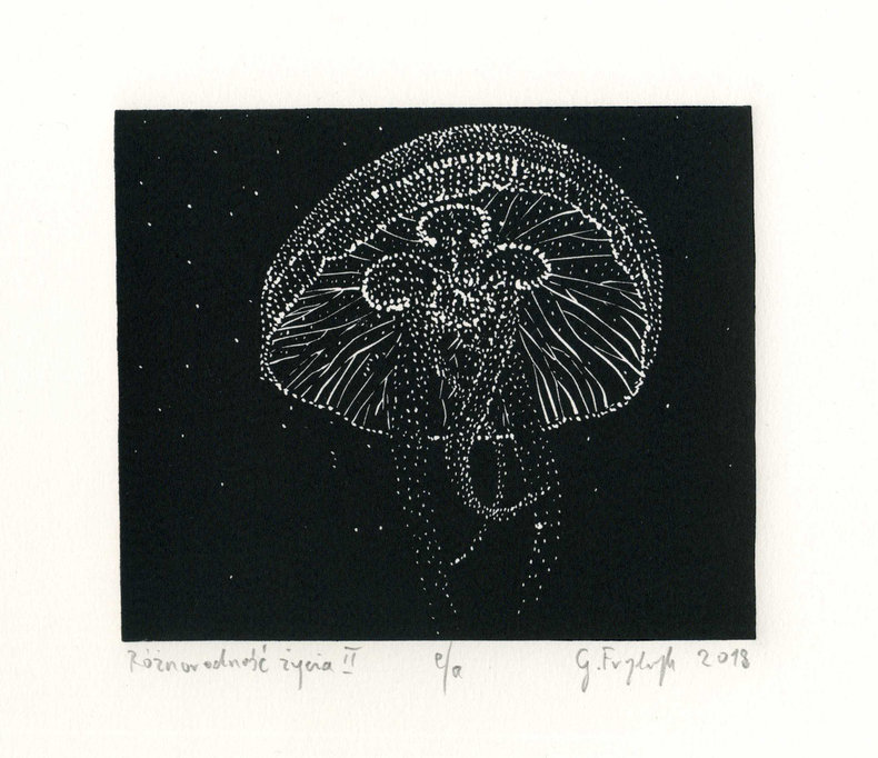 Różnorodność życia II