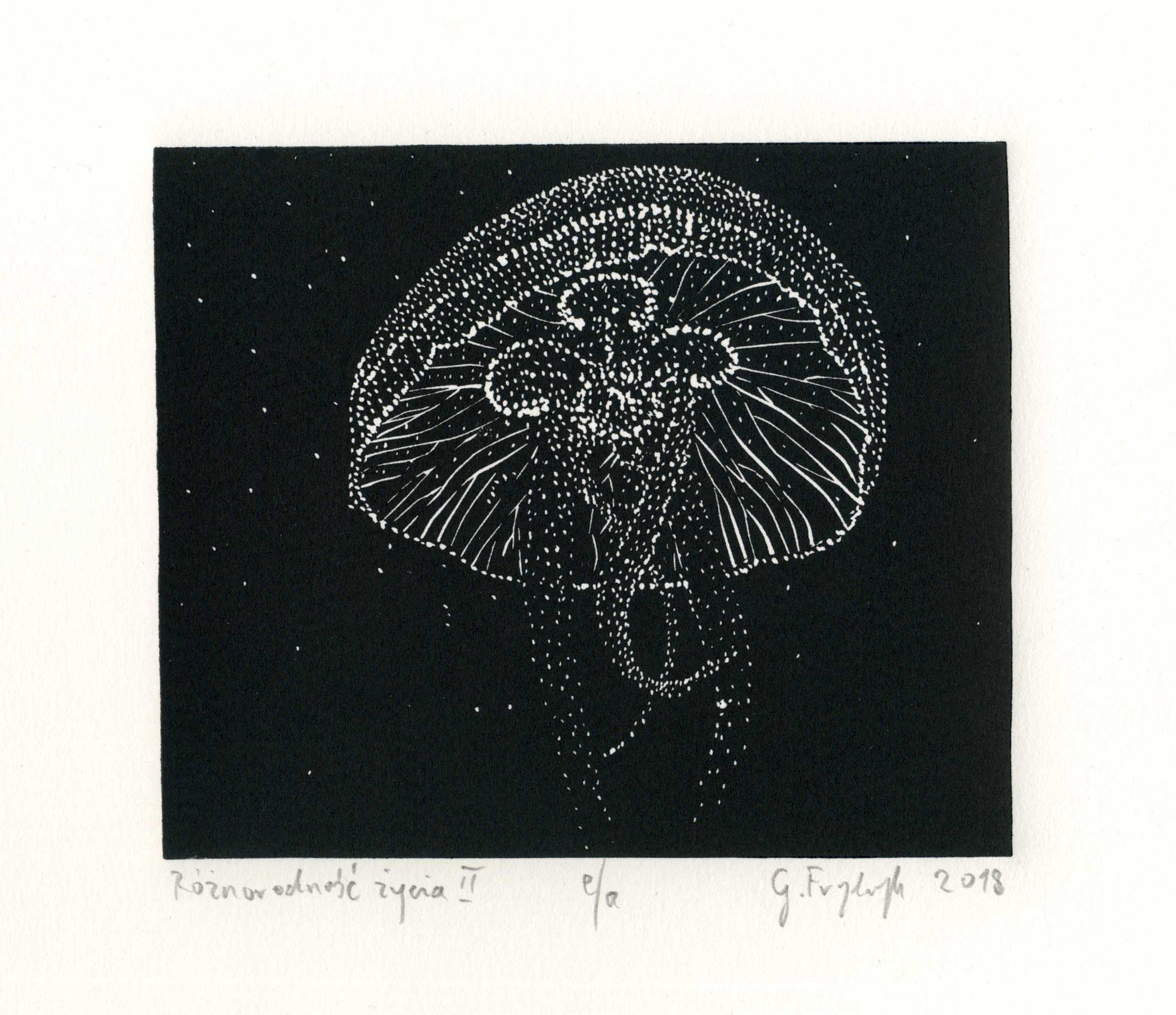 Różnorodność życia II