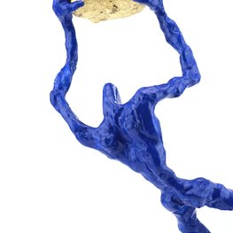 Consequi Desideravit