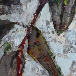 Martwa natura z fikusem