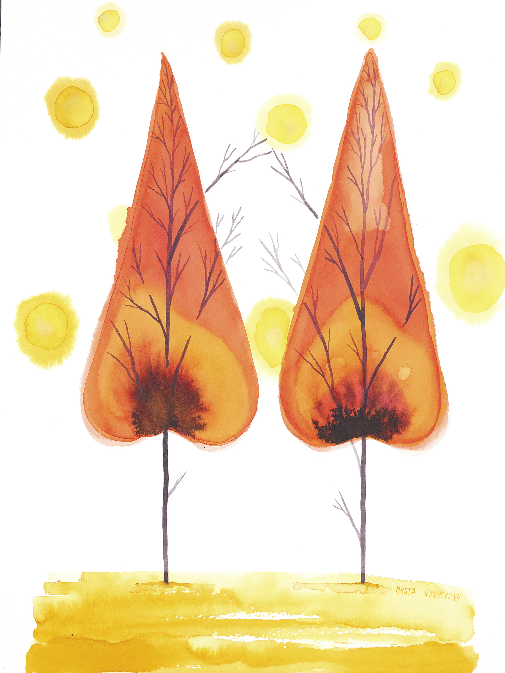 Miłość dendrologiczna