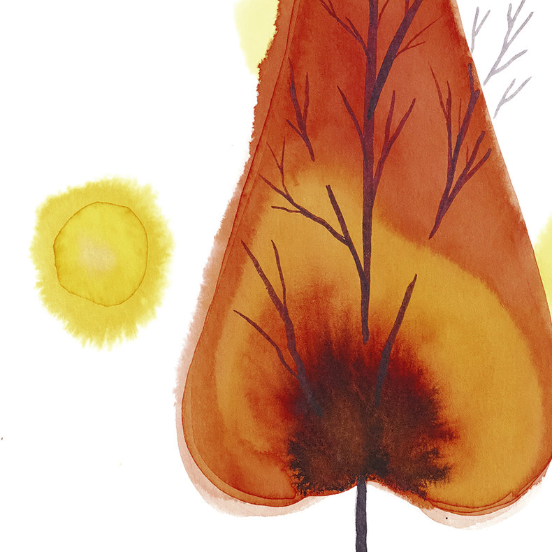 Miłość dendrologiczna