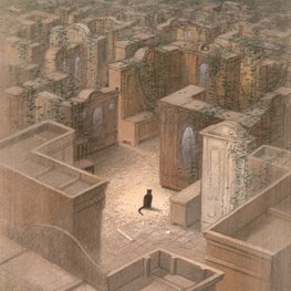 Cat paths / Kocie ścieżki