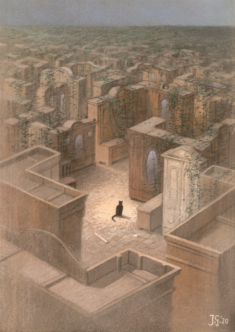 Cat paths / Kocie ścieżki