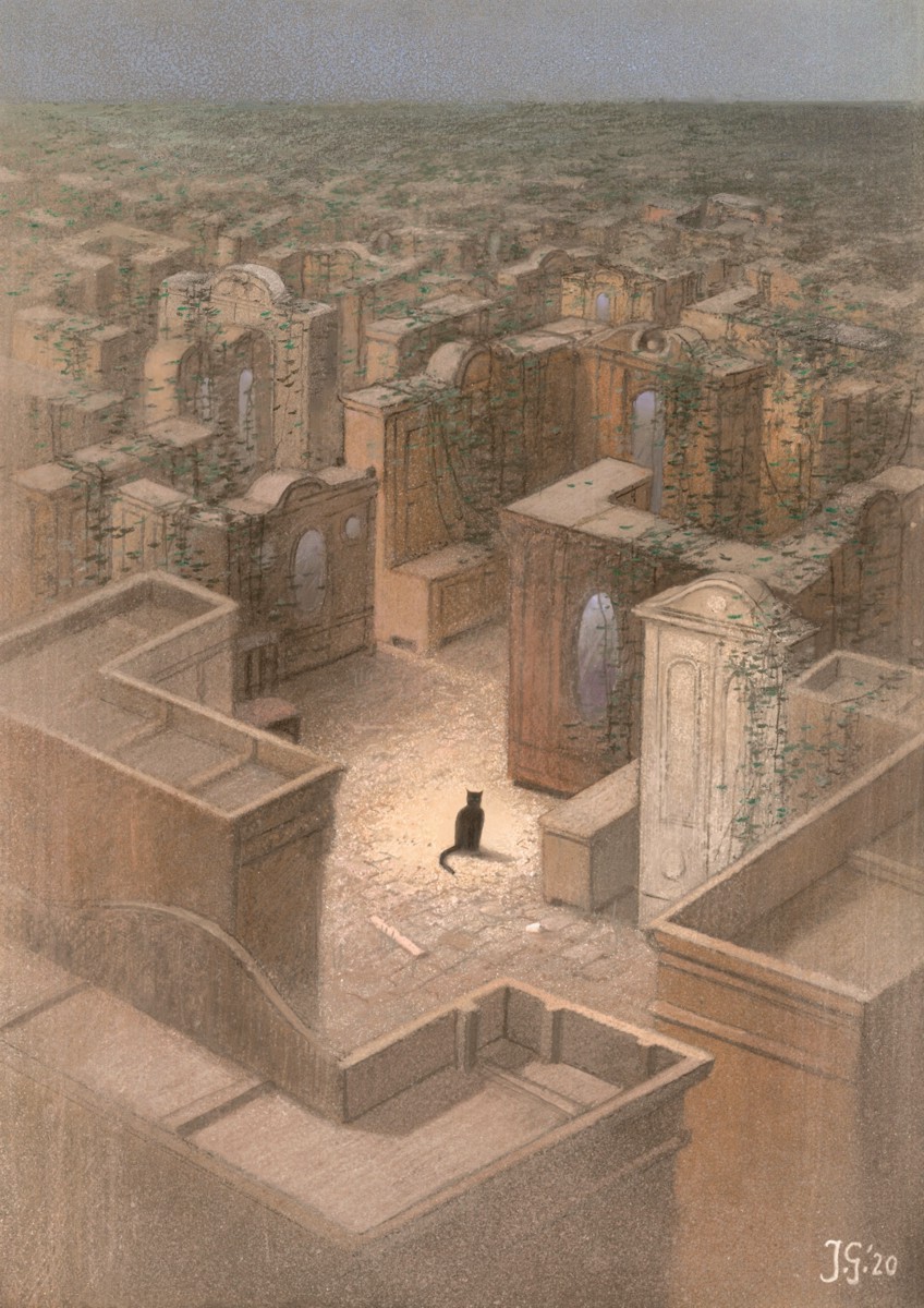 Cat paths / Kocie ścieżki