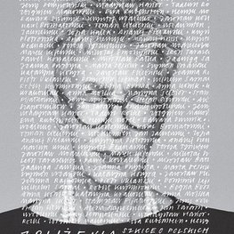 Zbliżenia. Szkice o polskich artystach