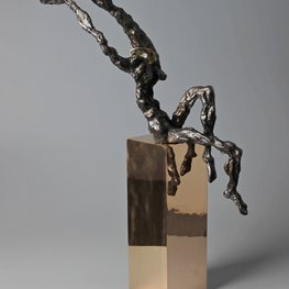 Manifestatio Specimen