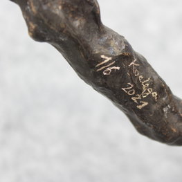 Onus Rationum Idealium