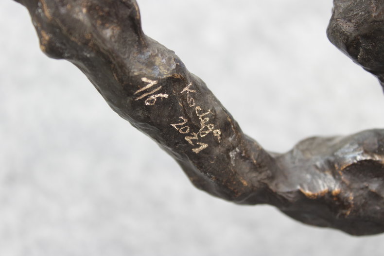 Onus Rationum Idealium