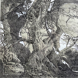 Opowieści Niderlandzkie